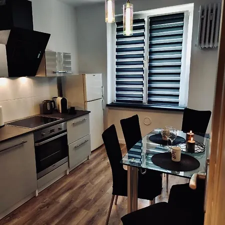 Z Parkingiem Apartment Pyskowice