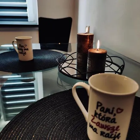 Apartment Z Parkingiem Pyskowice