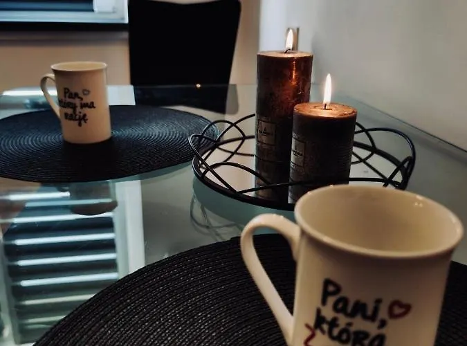 Appartement Z Parkingiem Pyskowice